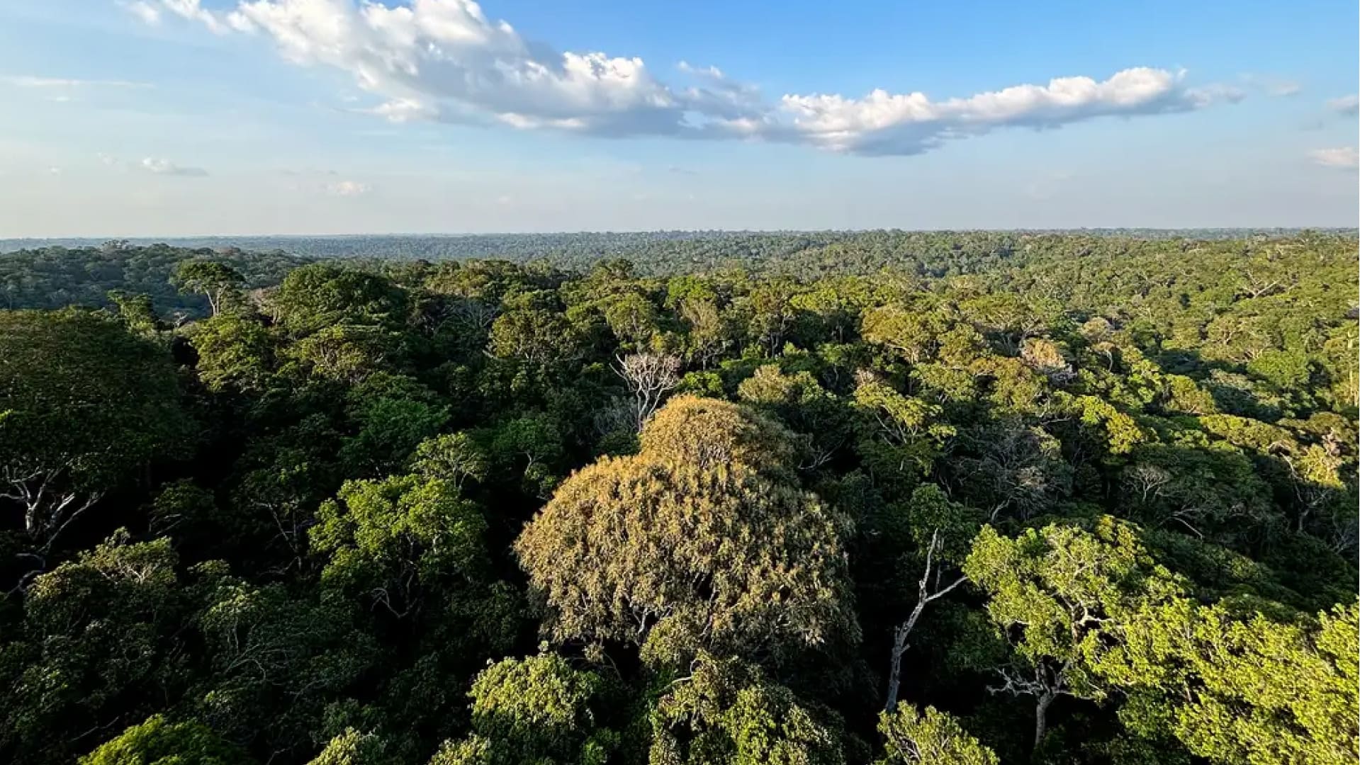 Novo Marco do Licenciamento Ambiental: entenda os impactos reais do PL 2.159/2021